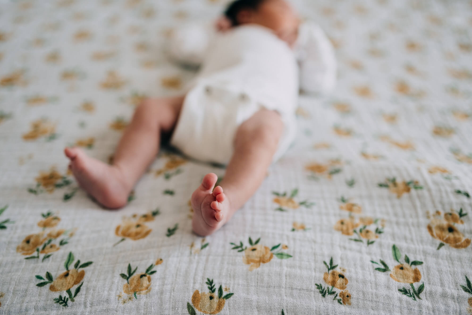 a close up shot of precious newborn toes from a newborn photography south shore ma photoshoot