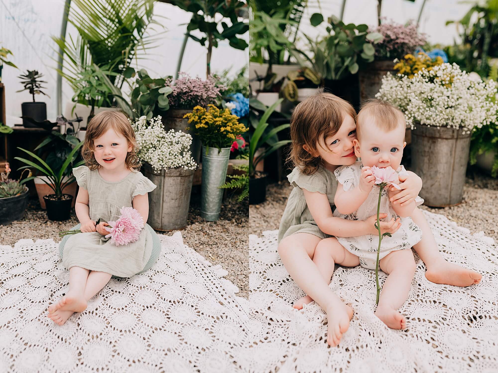 side by side images of two little girls in a greenhouse during their mini session with Scituate Photographer, Allison Wolf